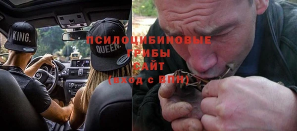бошки Богданович