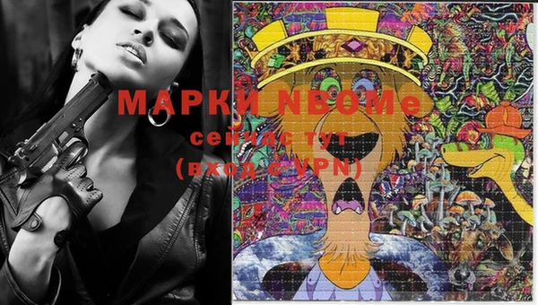 spice Бородино