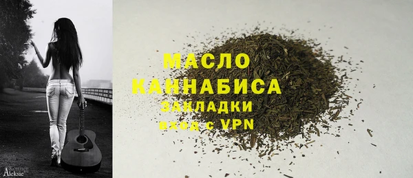 spice Бородино