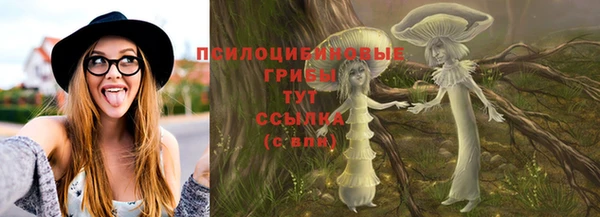 шишки Протвино