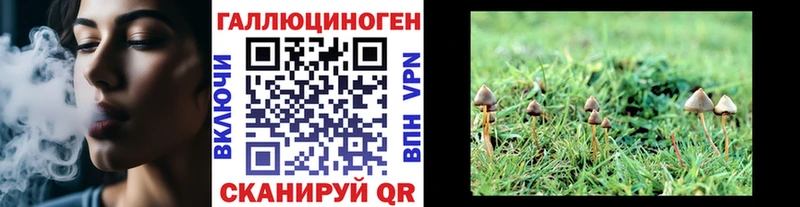 hydra рабочий сайт  Гусь-Хрустальный  Галлюциногенные грибы мухоморы 